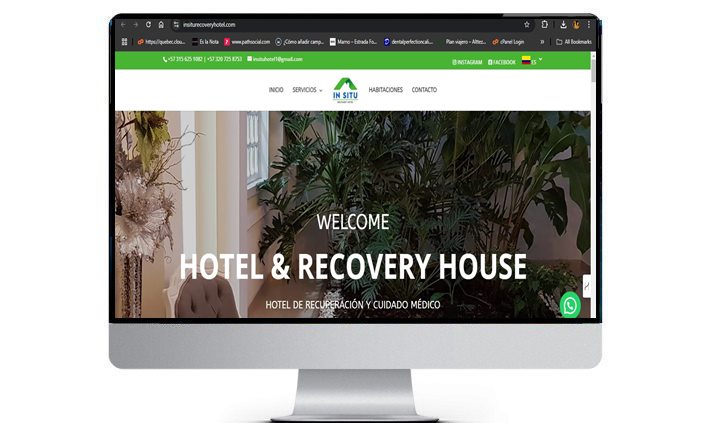 insiturecoveryhotel.com